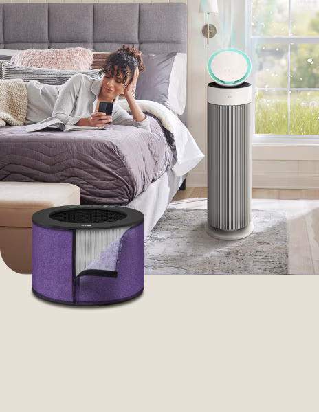 Bộ lọc chất gây dị ứng